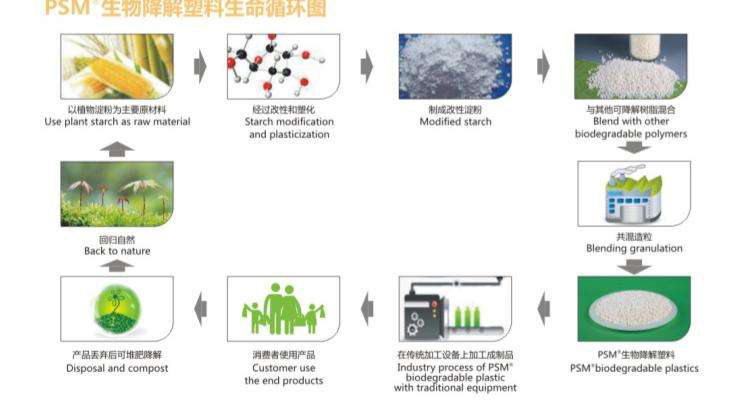 生物降解循環(huán)圖